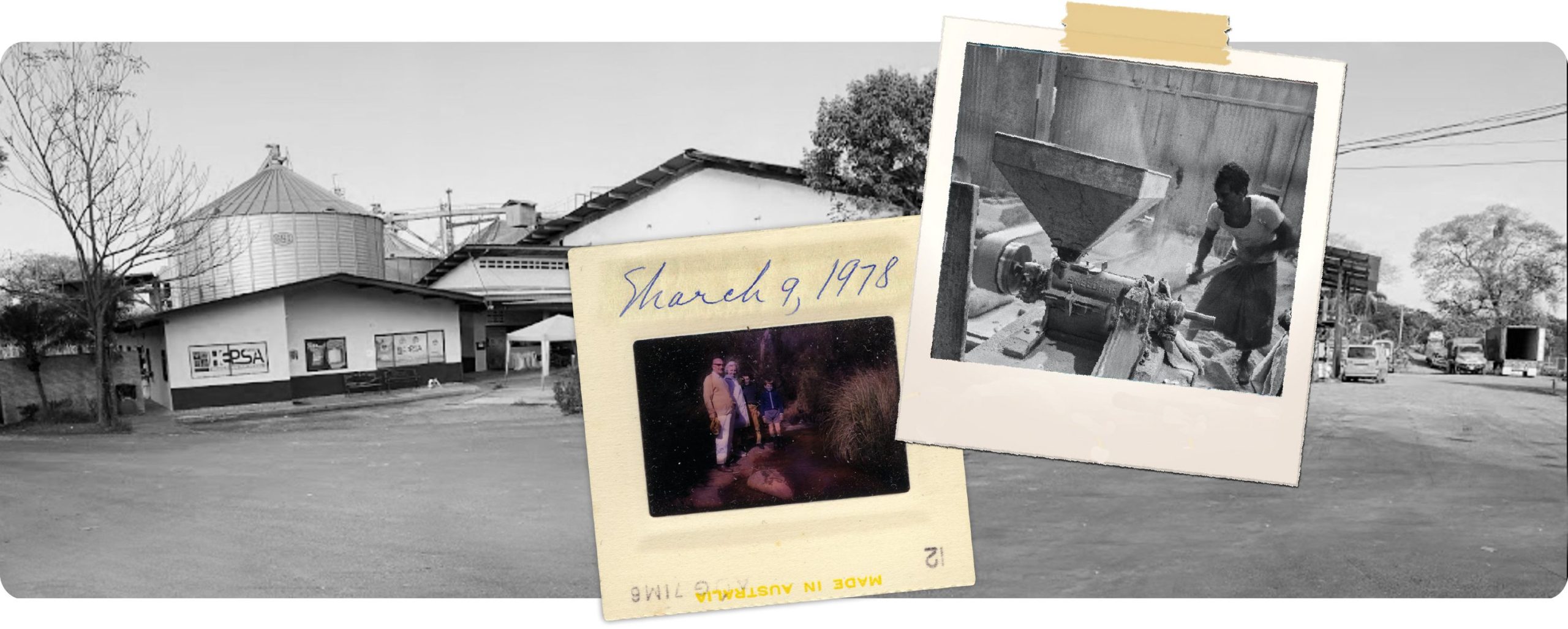 banner-arroz-pelin-1